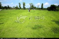 青青青草国产免费观看,国产免费观看，绿色生态影视盛宴