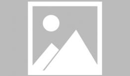 天天在线国产,构建国产科技新格局