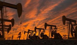 国产私拍在线,在线世界的隐秘角落