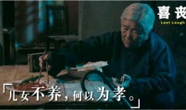 国产逼,创新驱动下的中国制造新篇章