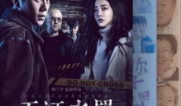 2017国产在线视频,内容创新与市场崛起的年度盘点